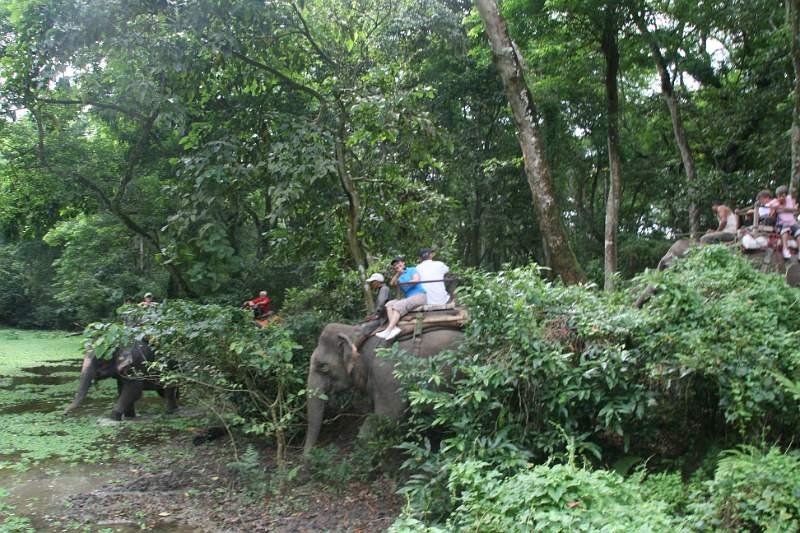 India & Nepal 2011 - 0547